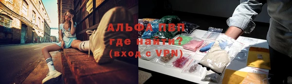 дмт Белокуриха