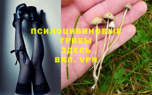 экстази Богданович